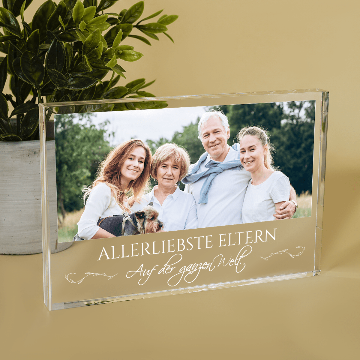 für Eltern, Adamell.de