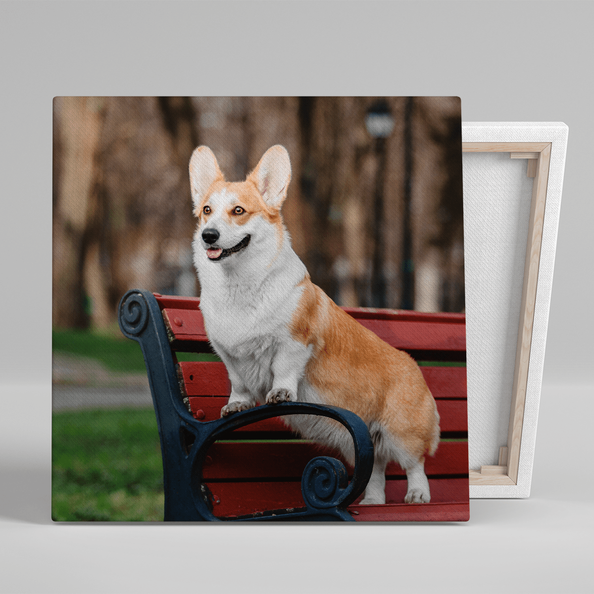 für Hundeliebhaber, Adamell.de