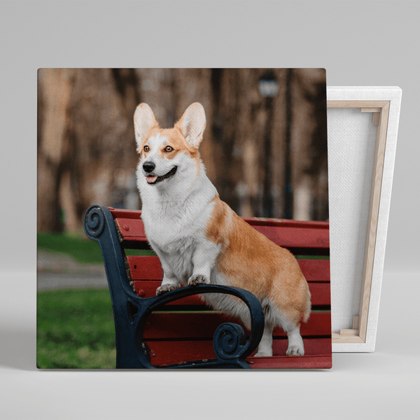 Foto des Hundes - Druck auf Leinwand, personalisiertes Geschenk für Hundeliebhaber - Adamell.de