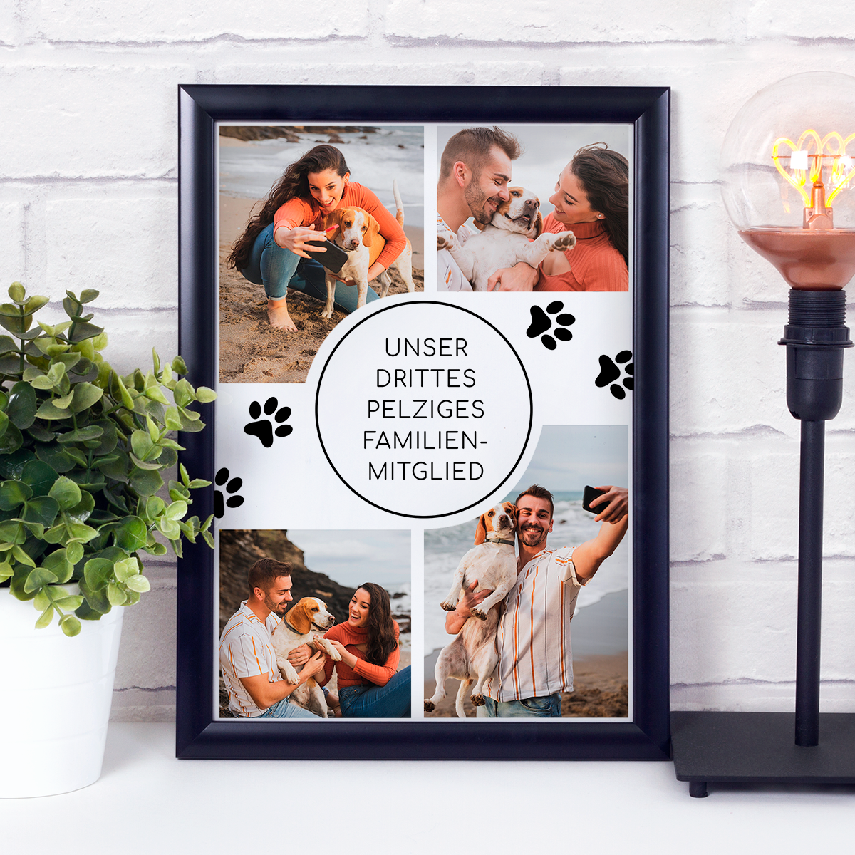 für Hundeliebhaber, Adamell.de