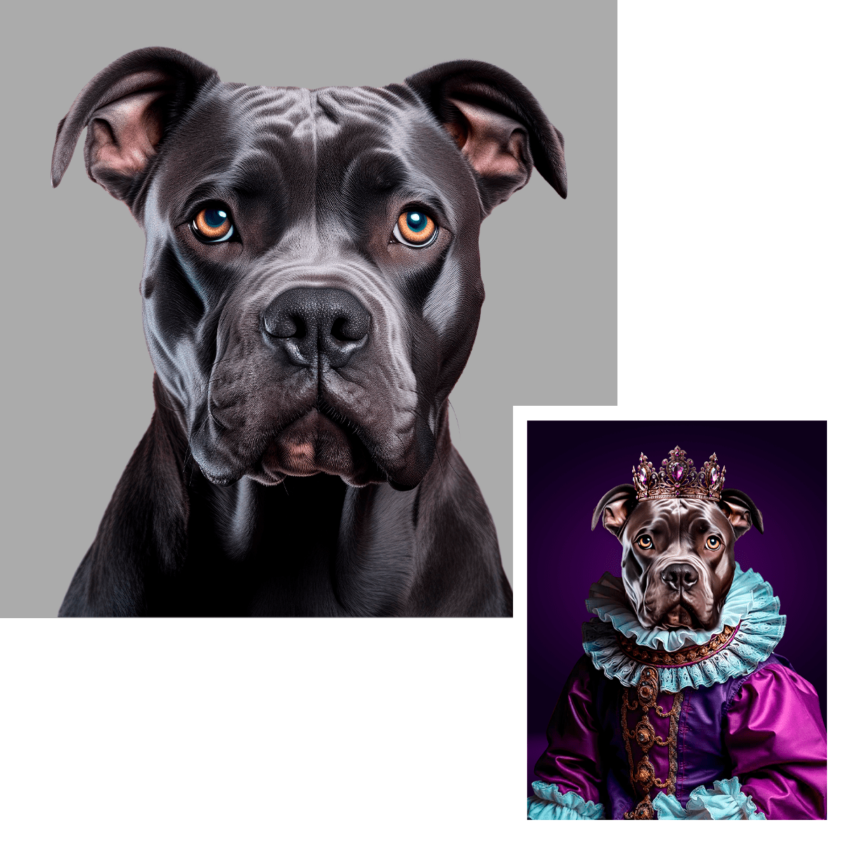 für Hundeliebhaber, Adamell.de