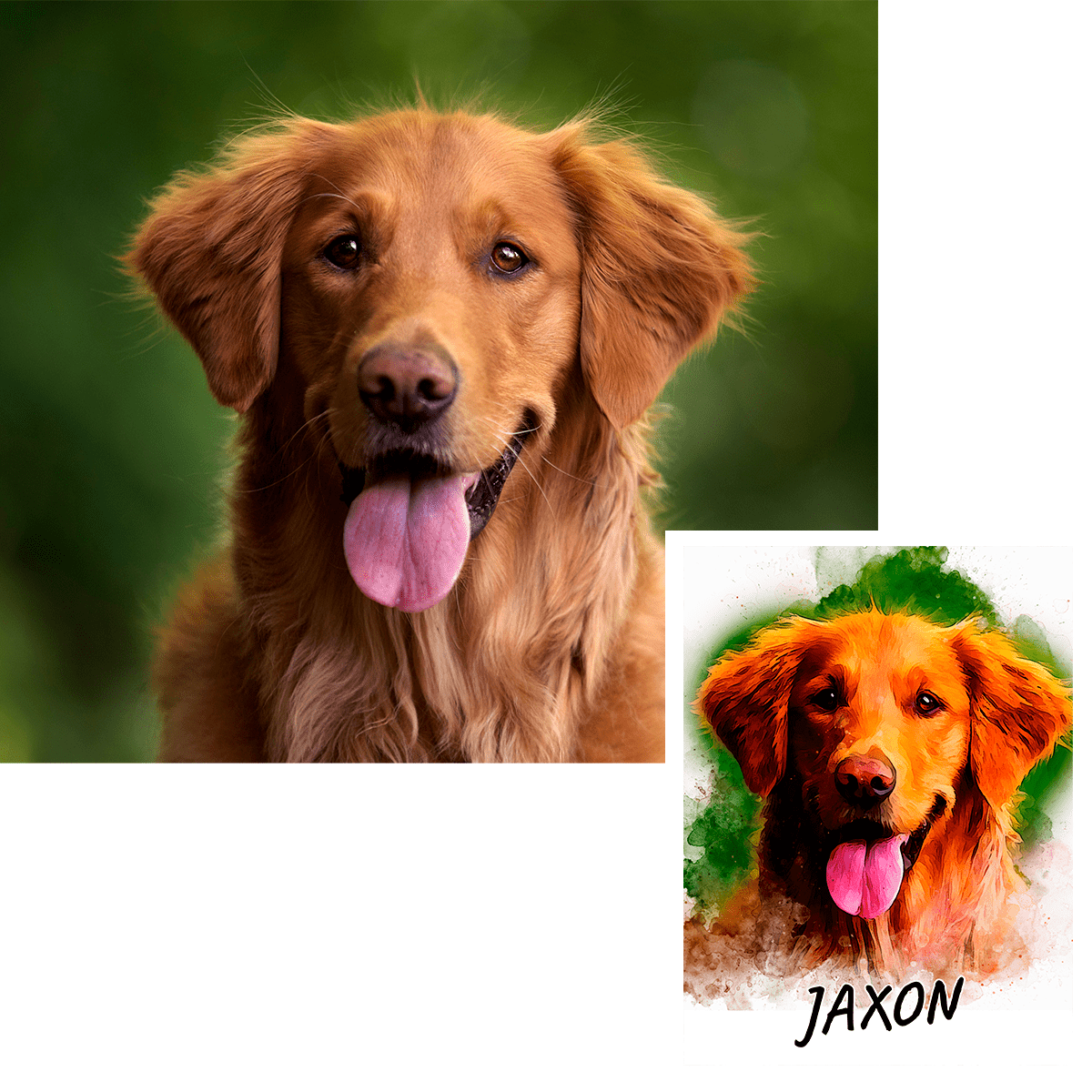 für Hundeliebhaber, Adamell.de