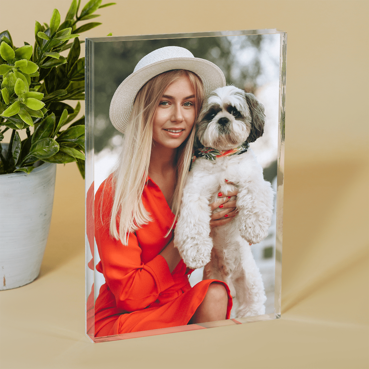 für Hundeliebhaber, Adamell.de