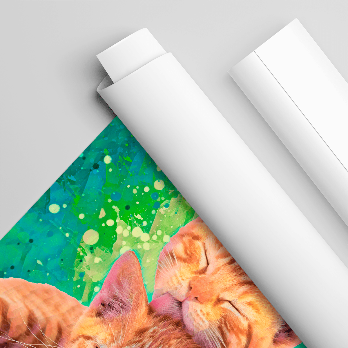 für Katzenliebhaber, Adamell.de