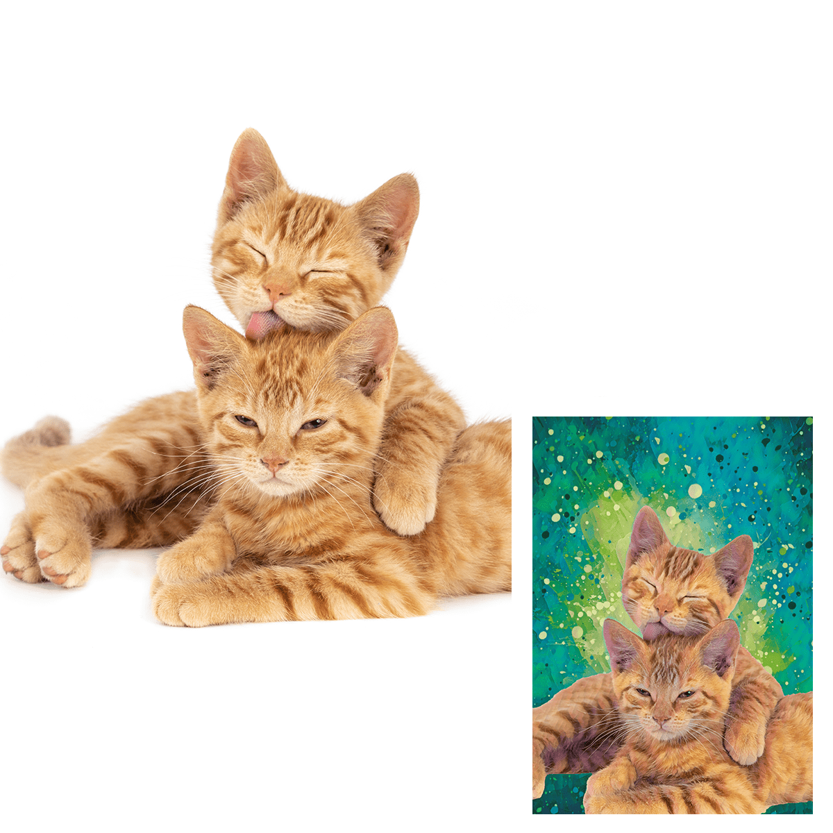 für Katzenliebhaber, Adamell.de