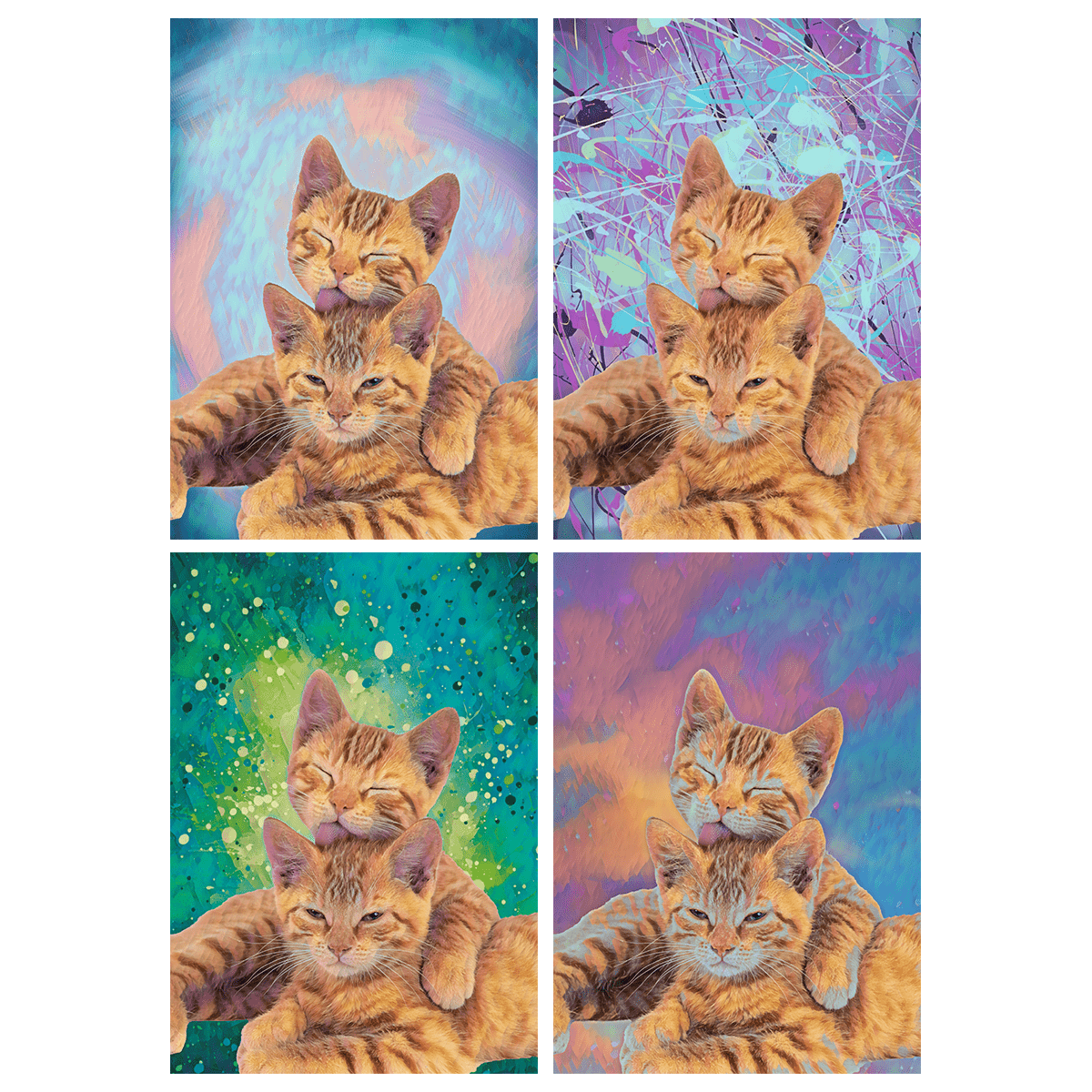 für Katzenliebhaber, Adamell.de