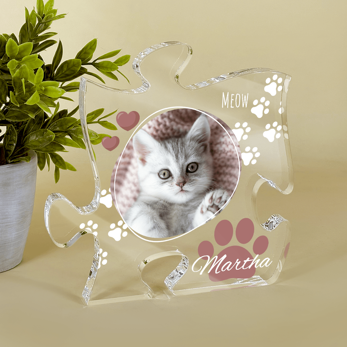 für Katzenliebhaber, Adamell.de