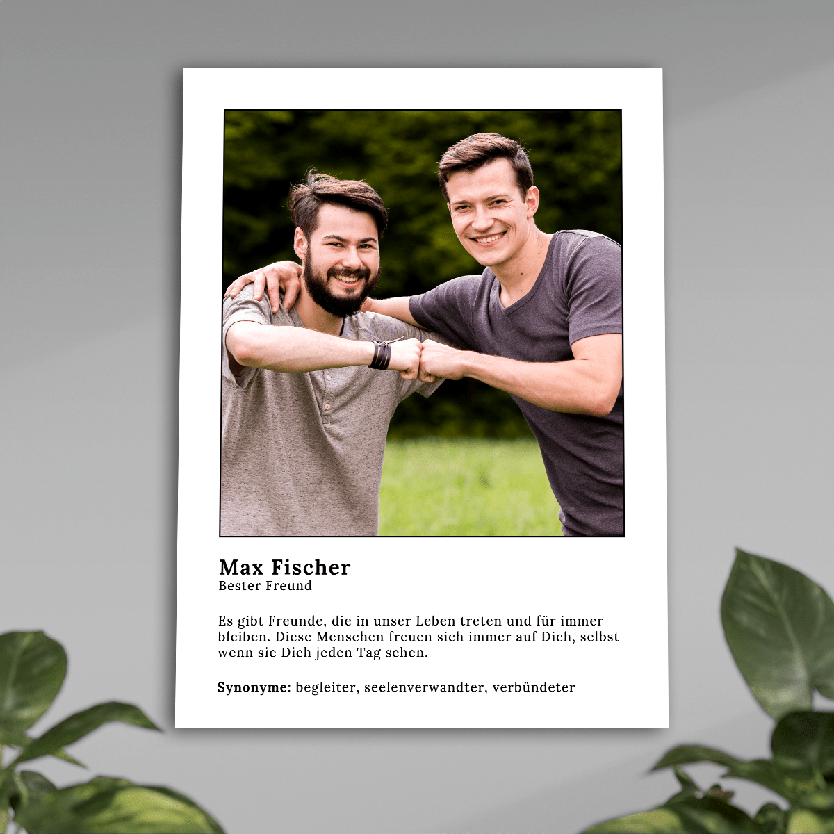 für Freund, Adamell.de