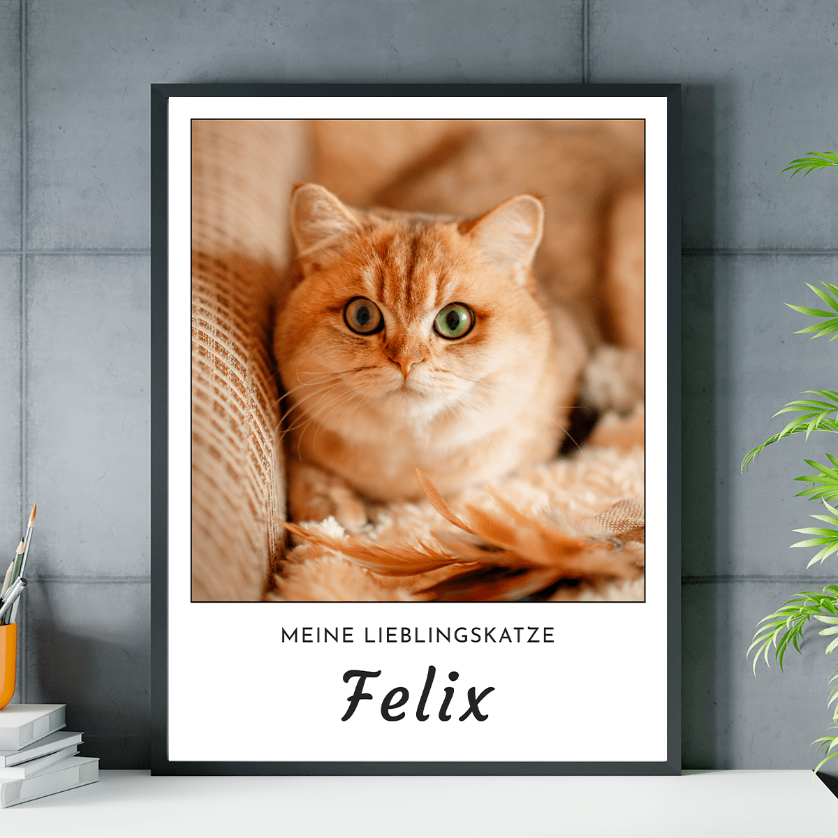 für Katzenliebhaber, Adamell.de