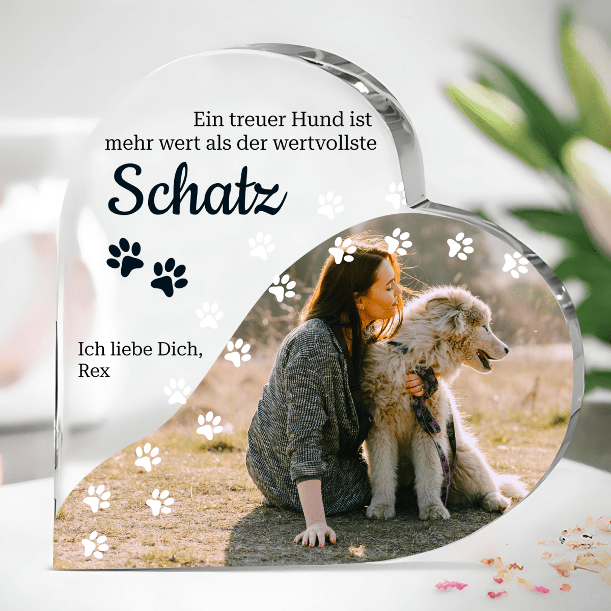 für Hundeliebhaber, Adamell.de