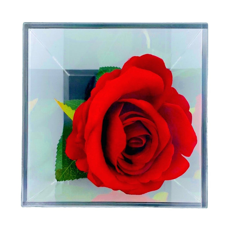 Rote Rose in einer Kuppel + Kostenlose Geschenke enthalten - Adamell.de
