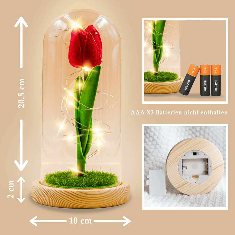 Ewige Tulpe im Glas LED - ewige Blume - Adamell.de