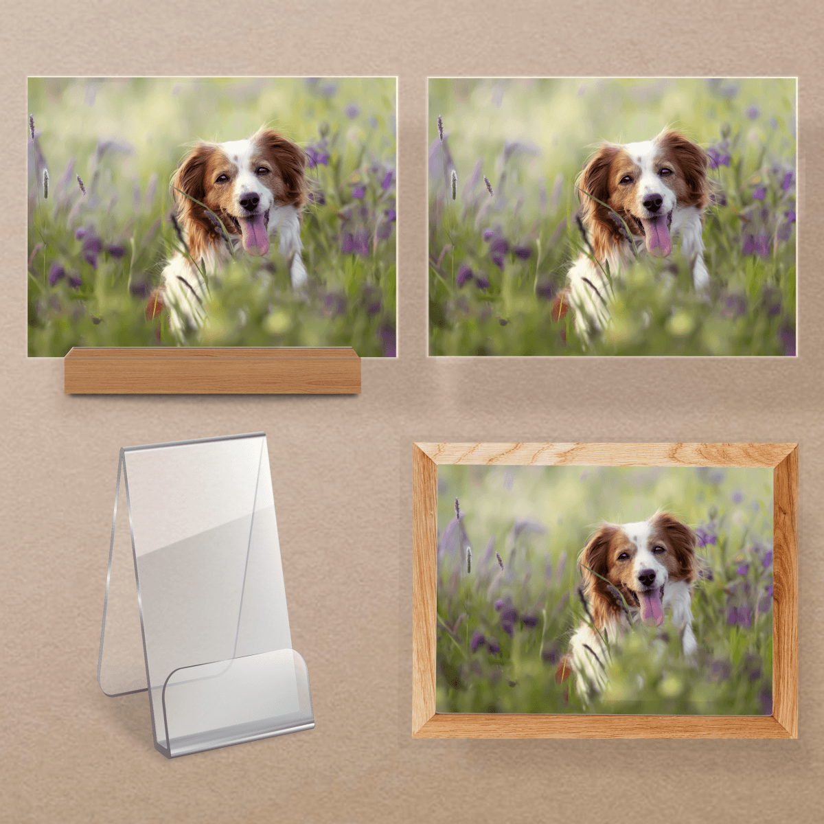 für Hundeliebhaber, Adamell.de