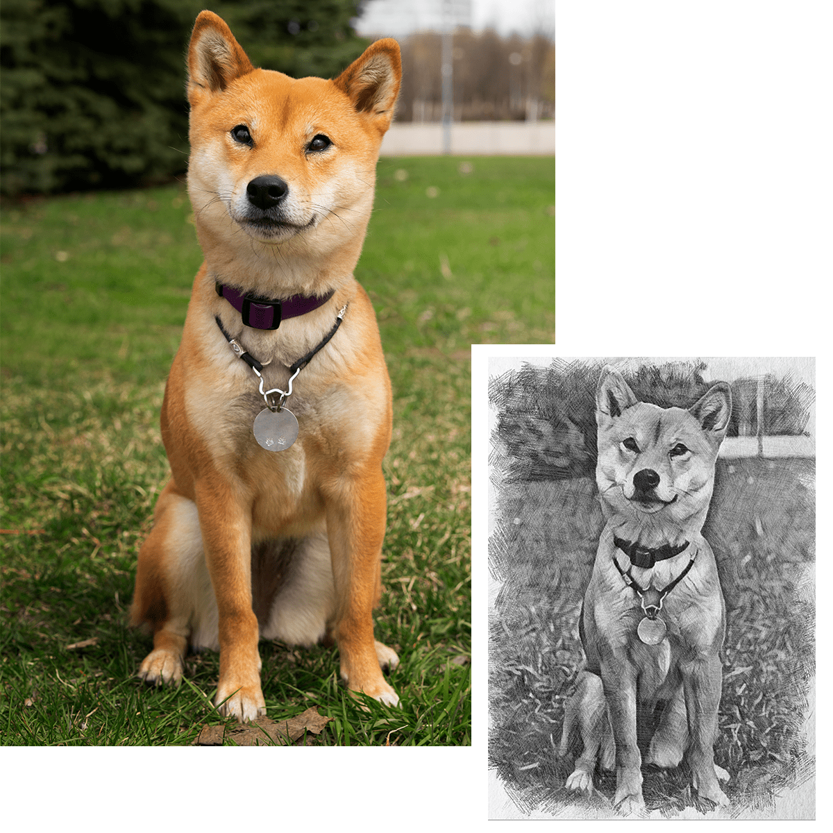 für Hundeliebhaber, Adamell.de