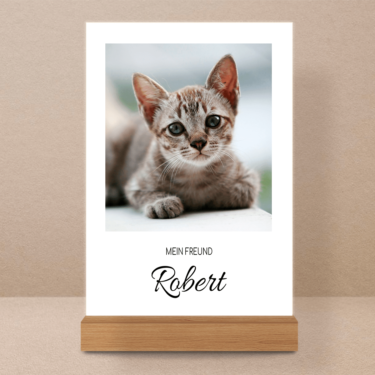 für Katzenliebhaber, Adamell.de