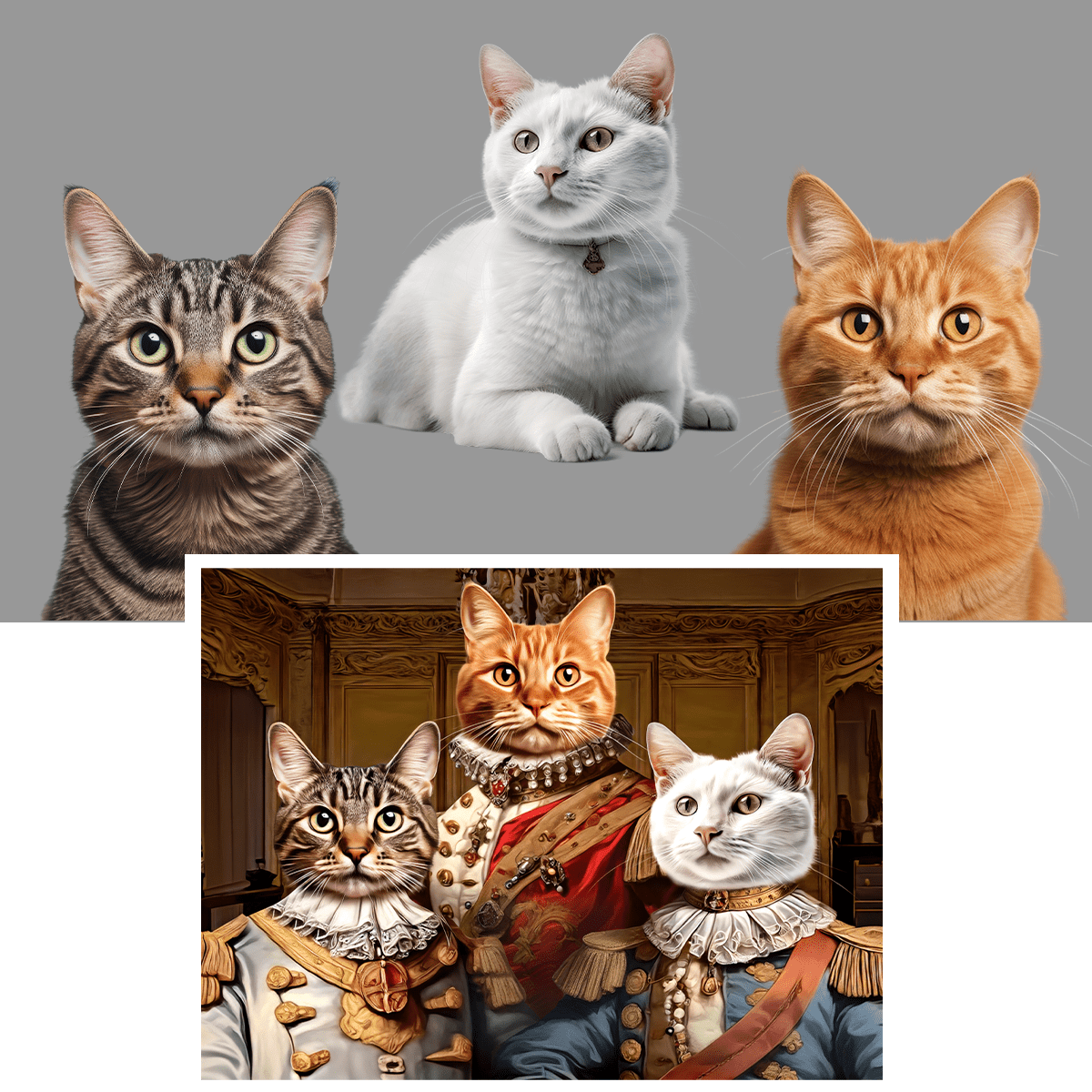 für Katzenliebhaber, Adamell.de