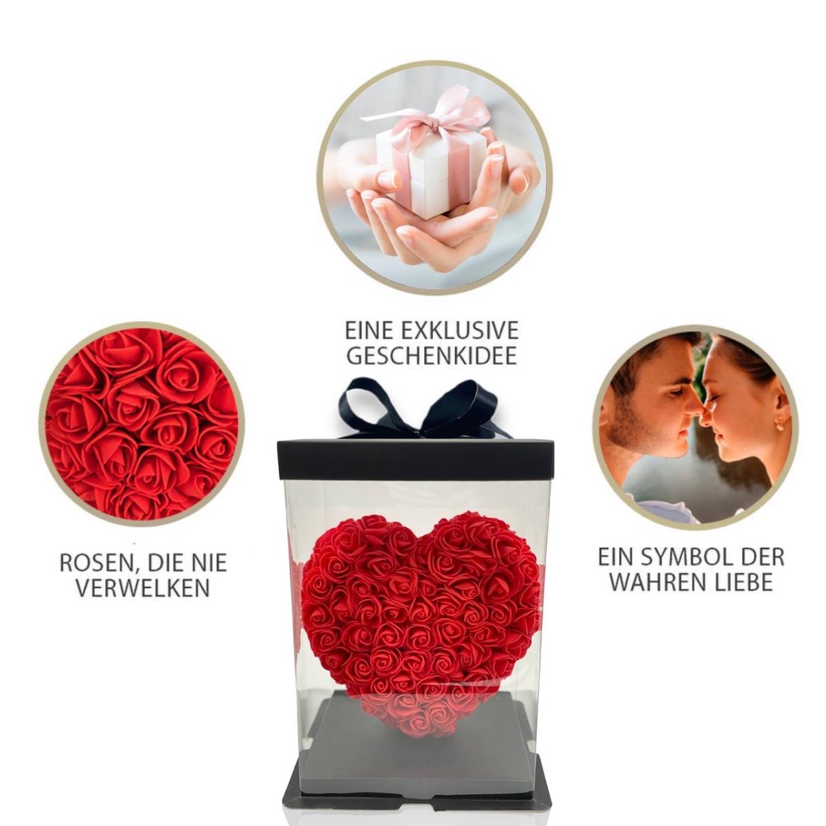 ewige rose, Adamell.de