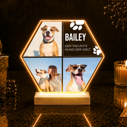 Der treueste Hund der Welt – Foto auf Acrylglas