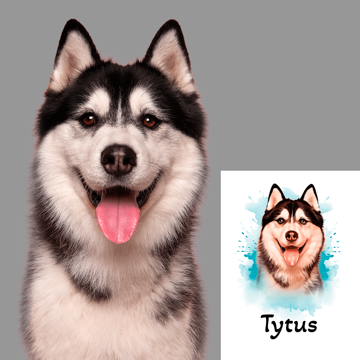 für Hundeliebhaber, Adamell.de