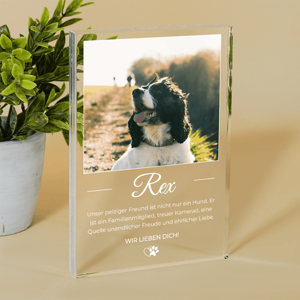 Der Hund ist ein Familienmitglied - Druck auf Glas, personalisiertes Geschenk - Adamell.de