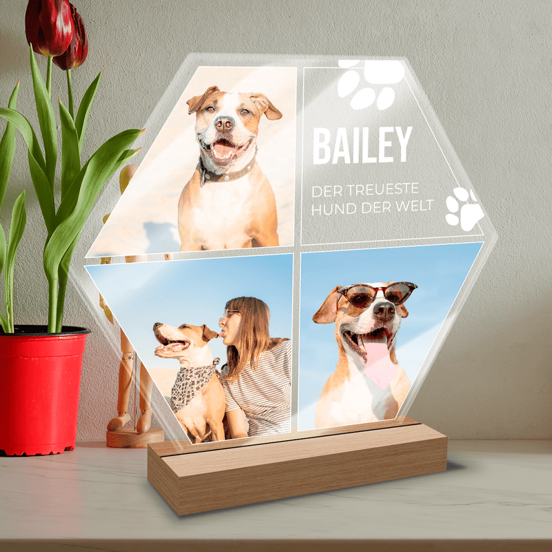 Der treueste Hund der Welt - Druck auf Glas, personalisiertes Geschenk für Hundeliebhaber - Adamell.de