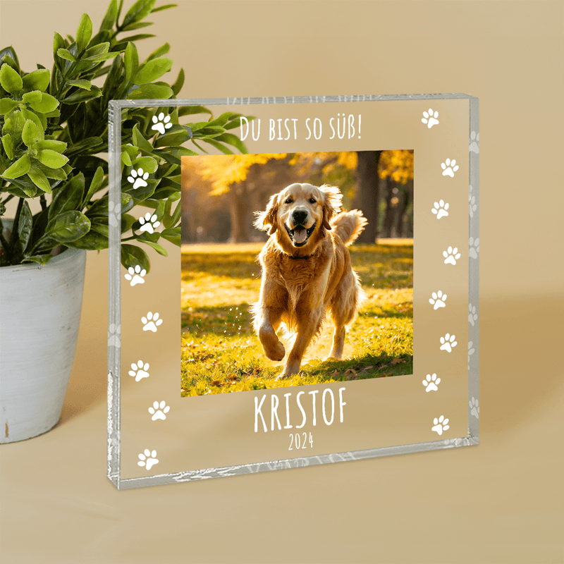 Du bist so süß - Druck auf quadratischem Glas, personalisiertes Geschenk für Hundebesitzer - Adamell.de