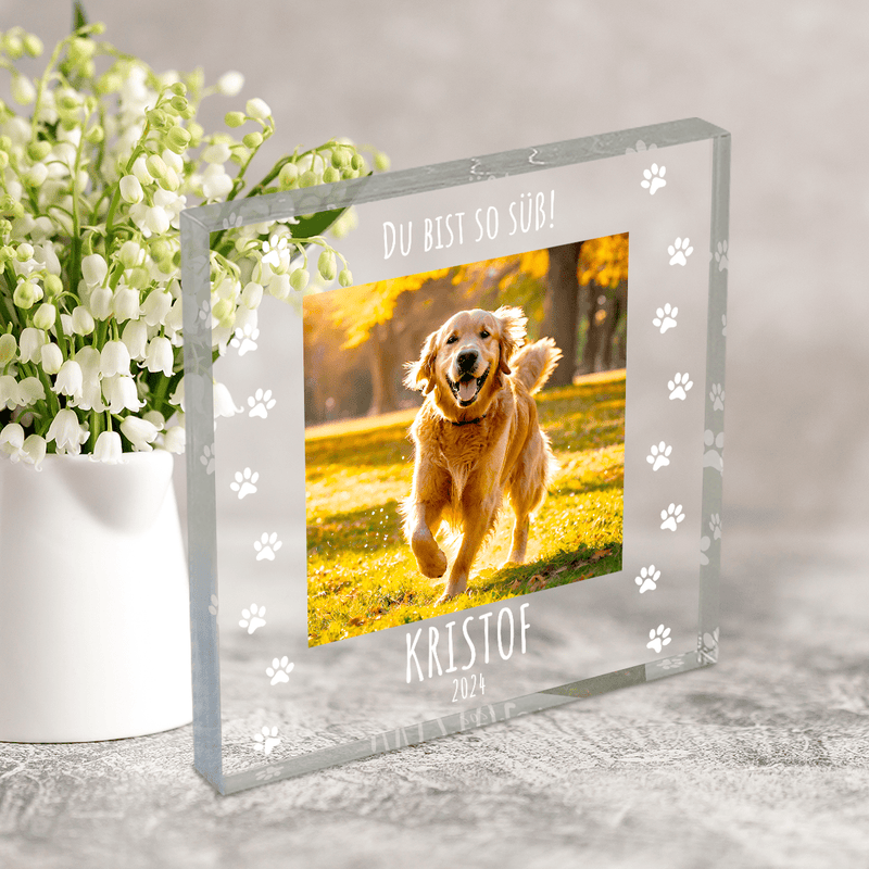 Du bist so süß - Druck auf quadratischem Glas, personalisiertes Geschenk für Hundebesitzer - Adamell.de