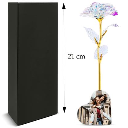 für freundin, Adamell.de