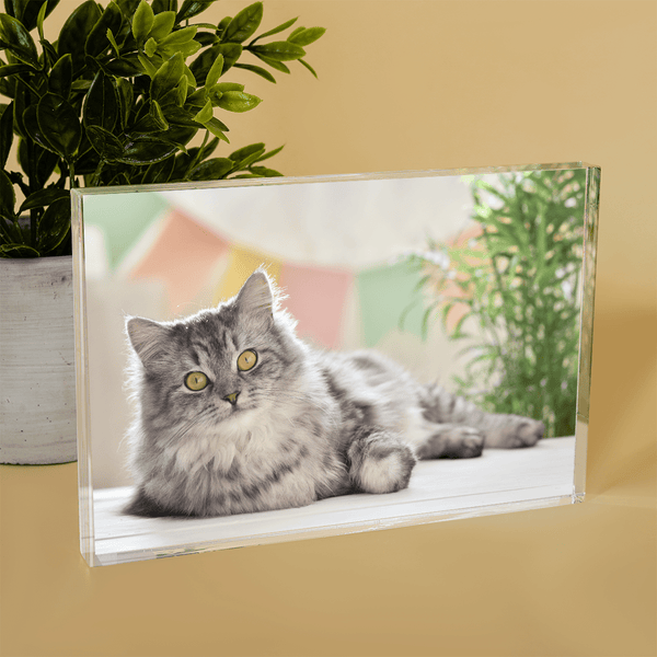 Foto der geliebten Katze - Druck auf Glas, personalisiertes Geschenk - Adamell.de