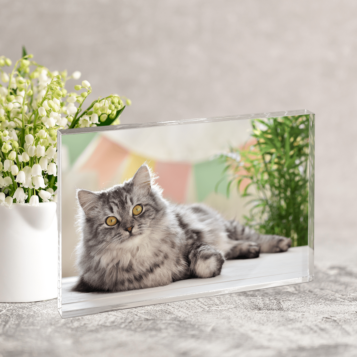 für Katzenliebhaber, Adamell.de