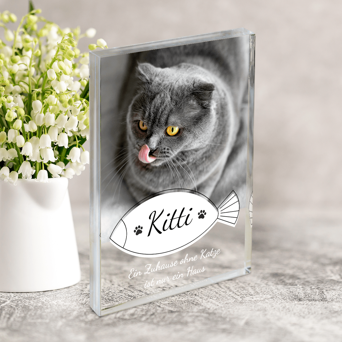 für Katzenliebhaber, Adamell.de