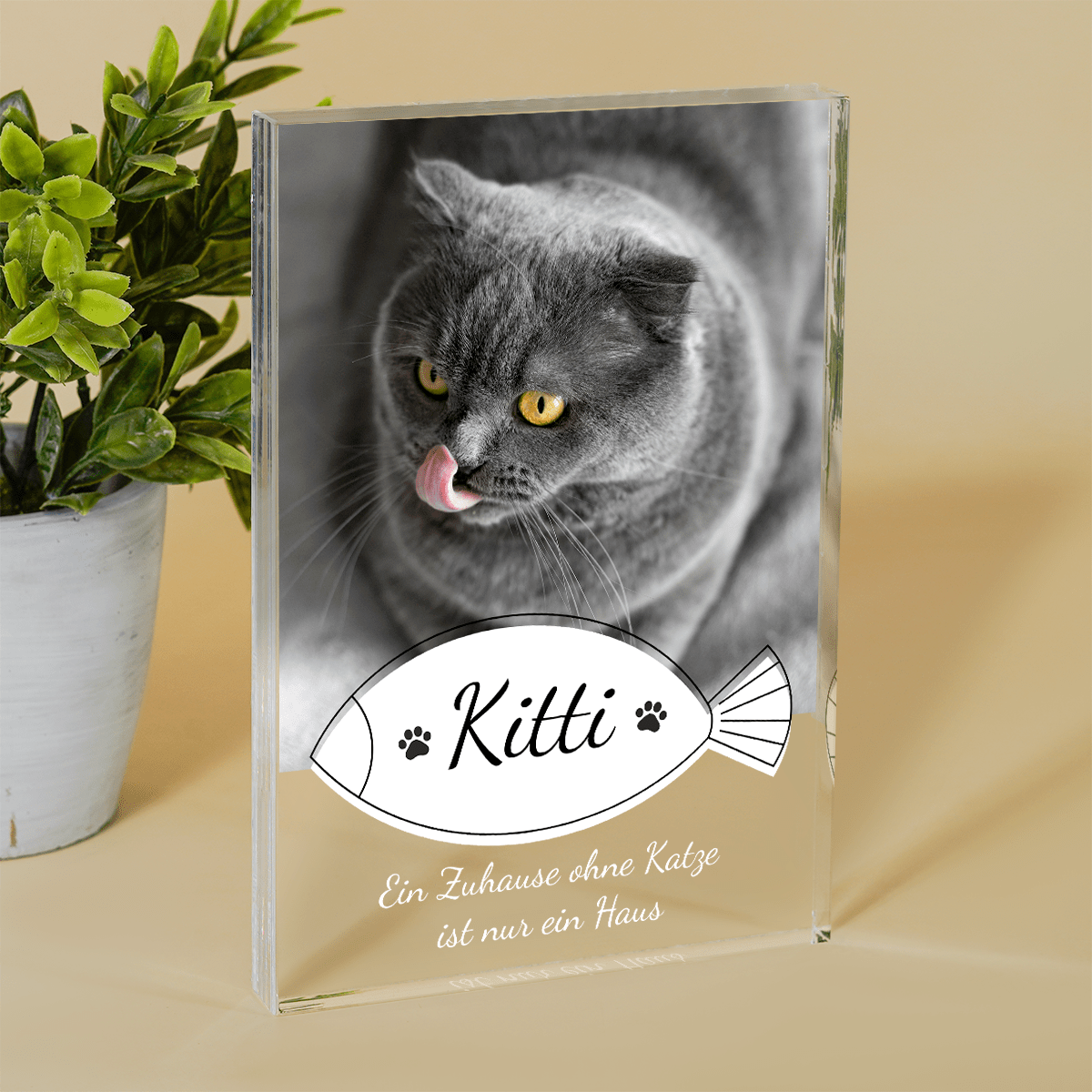 für Katzenliebhaber, Adamell.de
