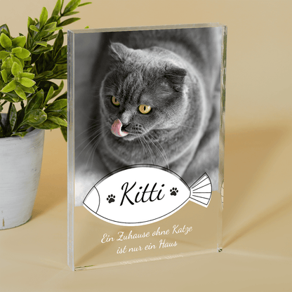 für Katzenliebhaber, Adamell.de