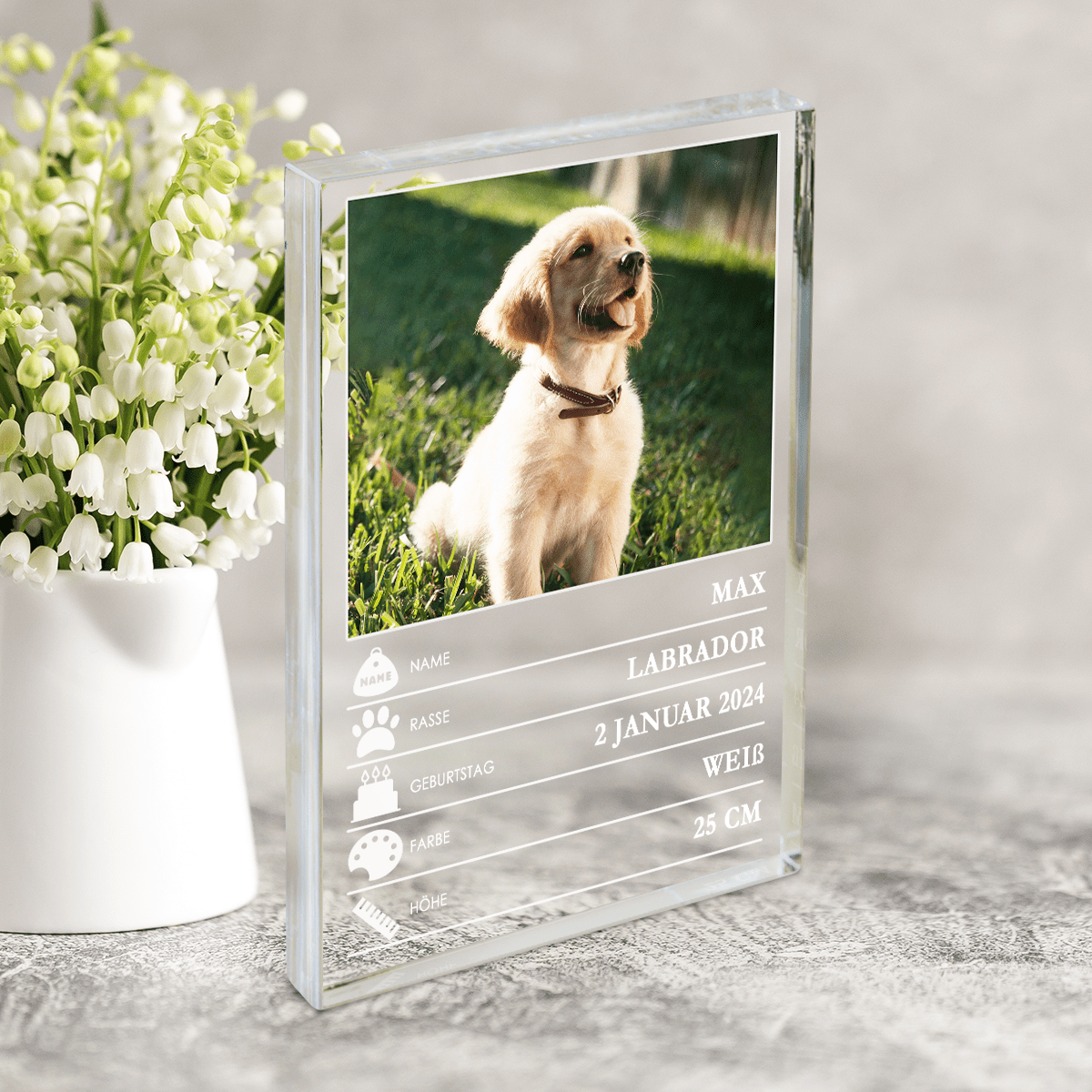 für Hundeliebhaber, Adamell.de