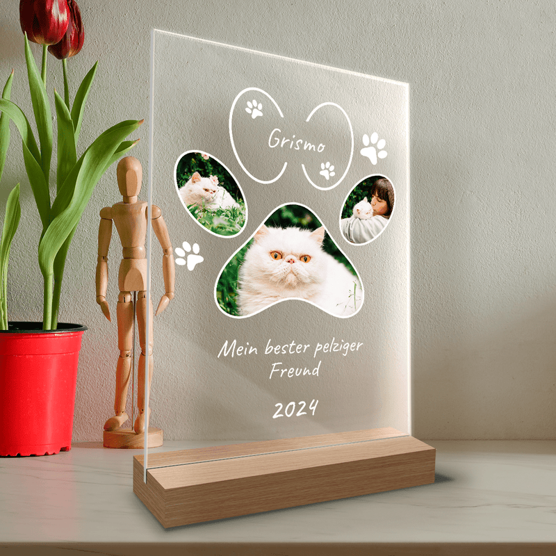 Foto in Form einer Katzenpfote - Druck auf Glas, personalisiertes Geschenk für Katzeliebhaber - Adamell.de