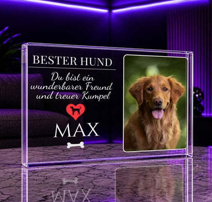 für Hundeliebhaber, Adamell.de