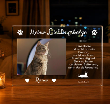 für Katzenliebhaber, Adamell.de