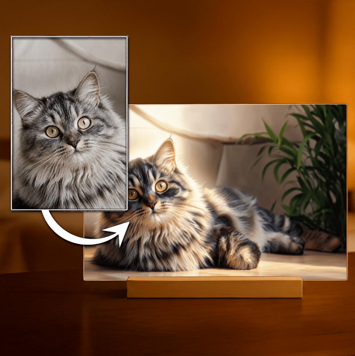 für Katzenliebhaber, Adamell.de