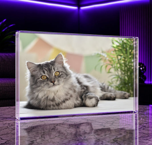 für Katzenliebhaber, Adamell.de