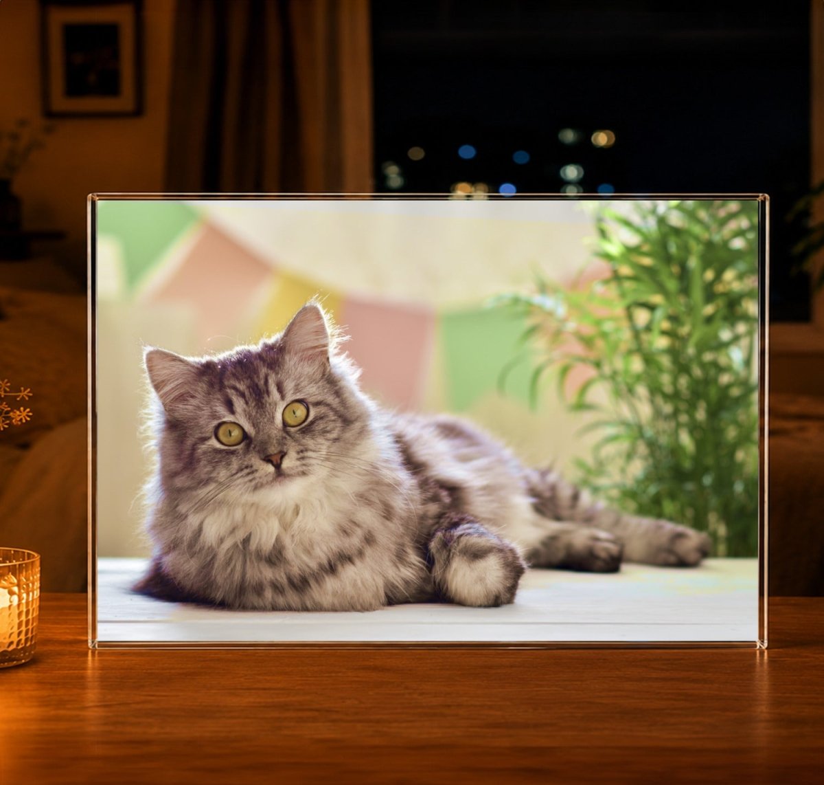 für Katzenliebhaber, Adamell.de