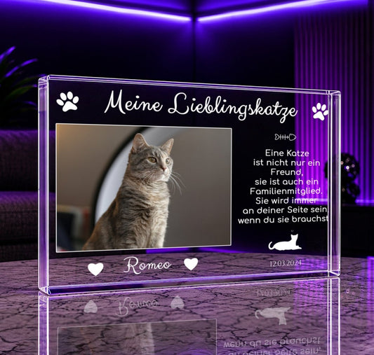 für Katzenliebhaber, Adamell.de