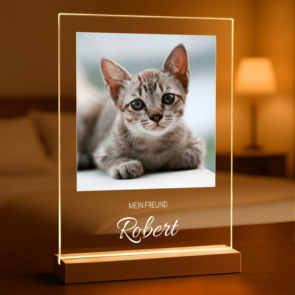 für Katzenliebhaber, Adamell.de