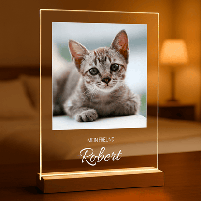 für Katzenliebhaber, Adamell.de