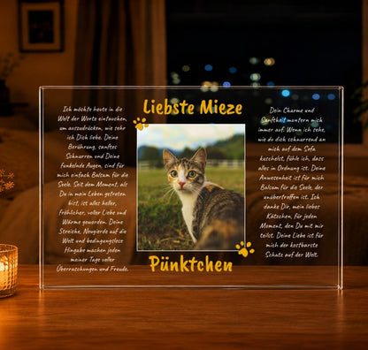 für Katzenliebhaber, Adamell.de