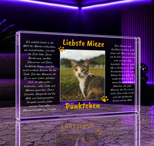 für Katzenliebhaber, Adamell.de