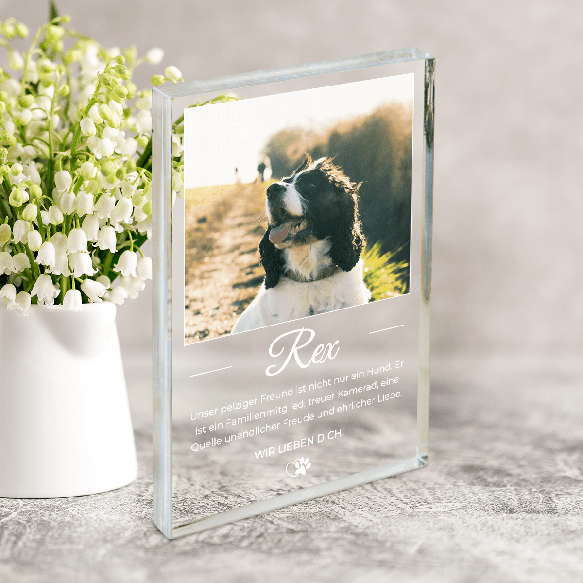 für Hundeliebhaber, Adamell.de