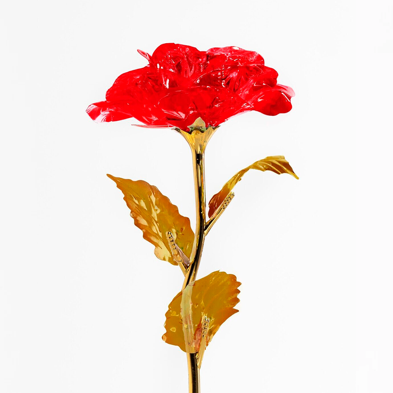 Rote LED ewige Rose mit persönlichem Aufdruck FÜR UNSEREN LEHRER