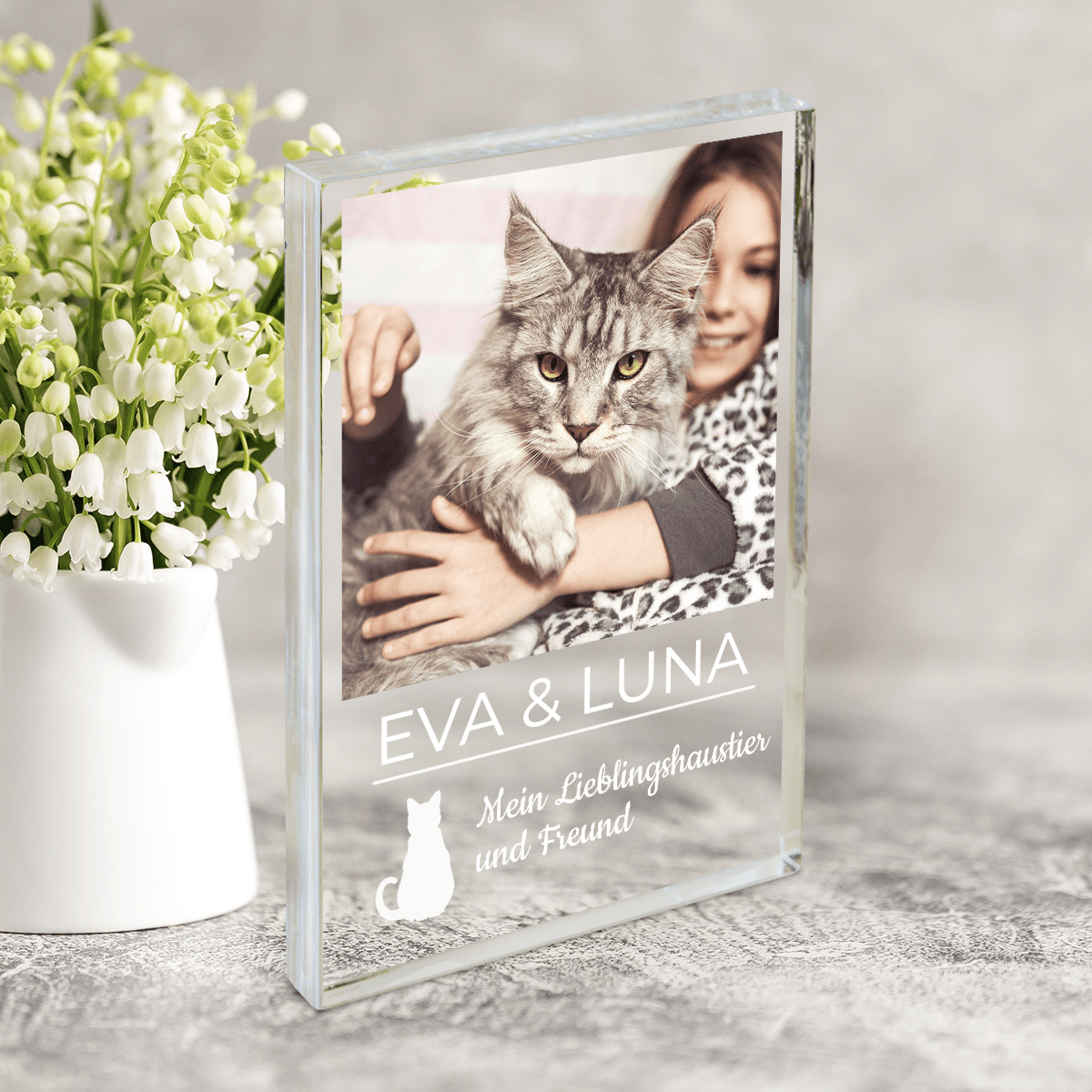 für Katzenliebhaber, Adamell.de