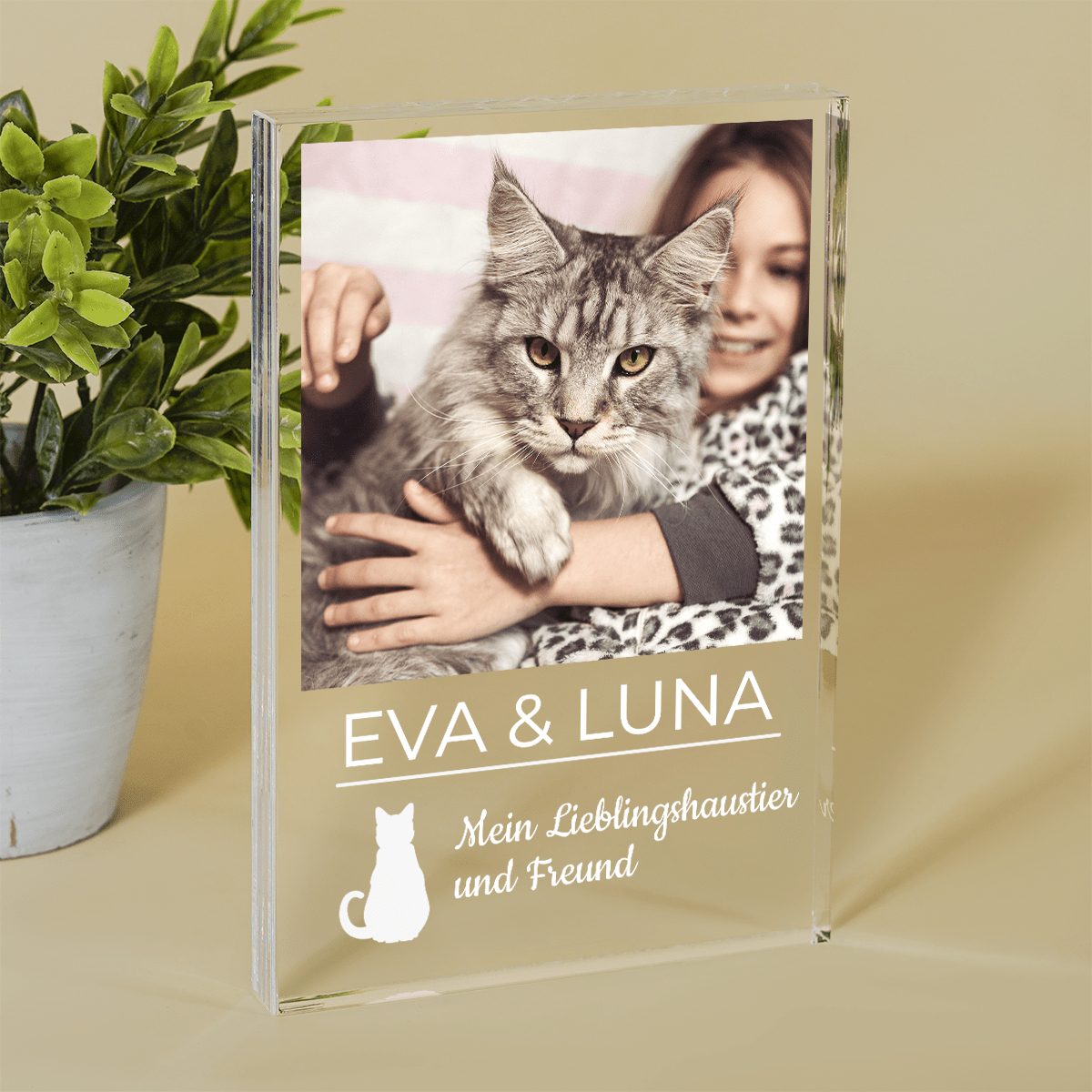 für Katzenliebhaber, Adamell.de