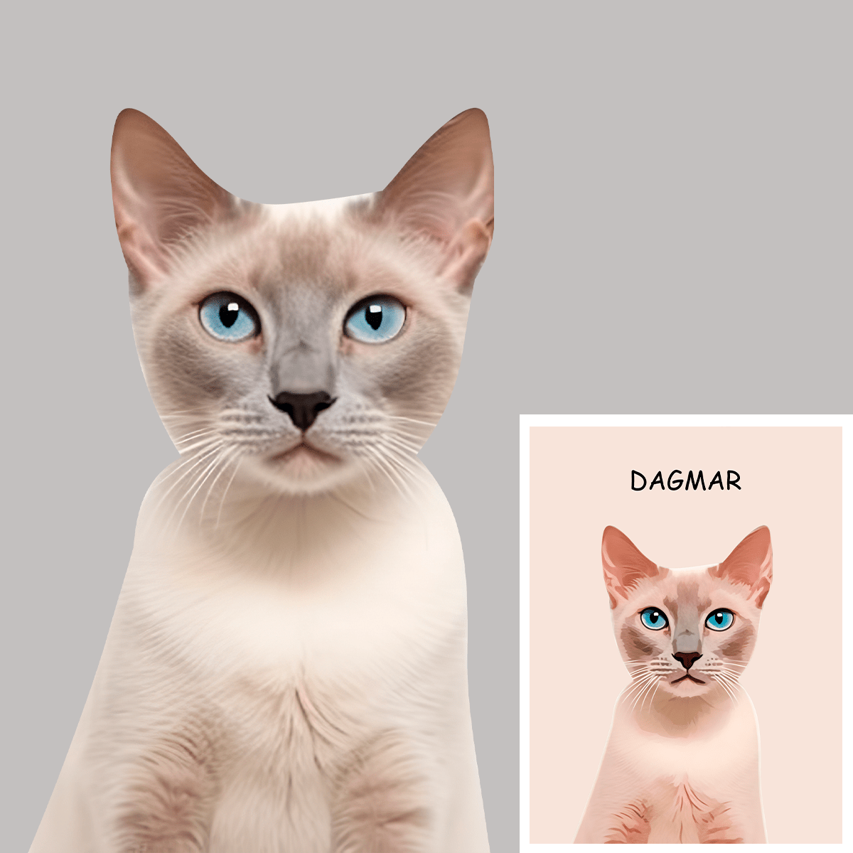 für Katzenliebhaber, Adamell.de